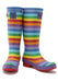 Evercreatures Rainbow Tall Wellies | Evercreatures- Evercreatures® Official